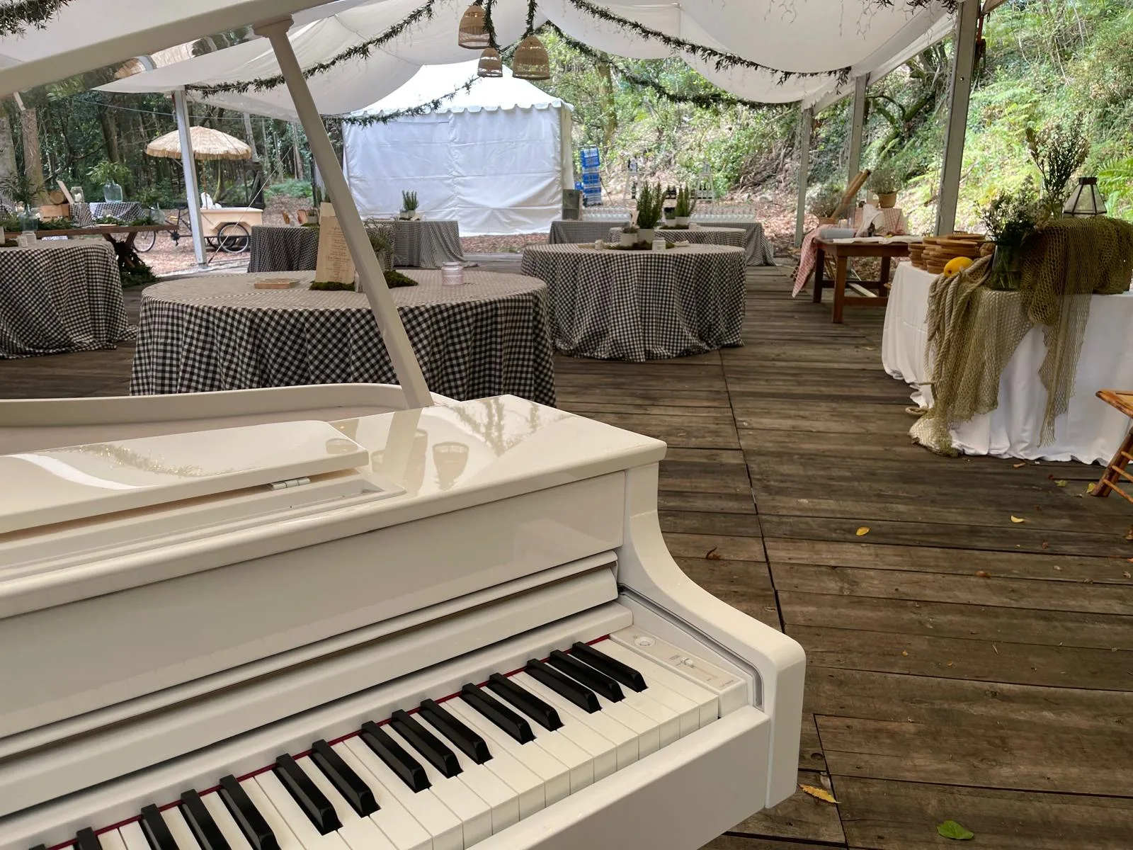 WhatsApp Image 2025-10-15 at 10.52.06