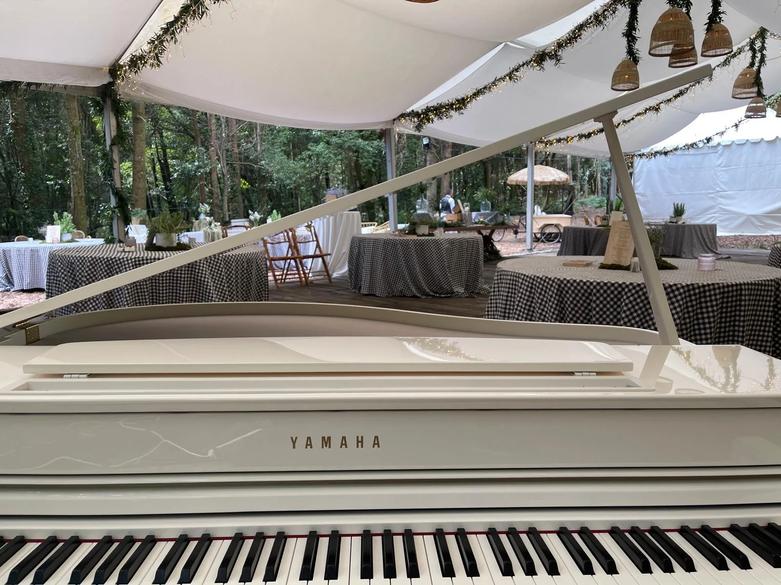 WhatsApp Image 2025-10-15 at 10.52.08